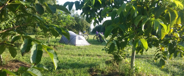 Camping in nature