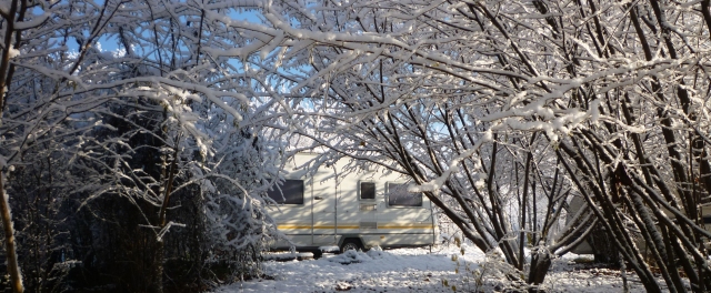 Natural camp site