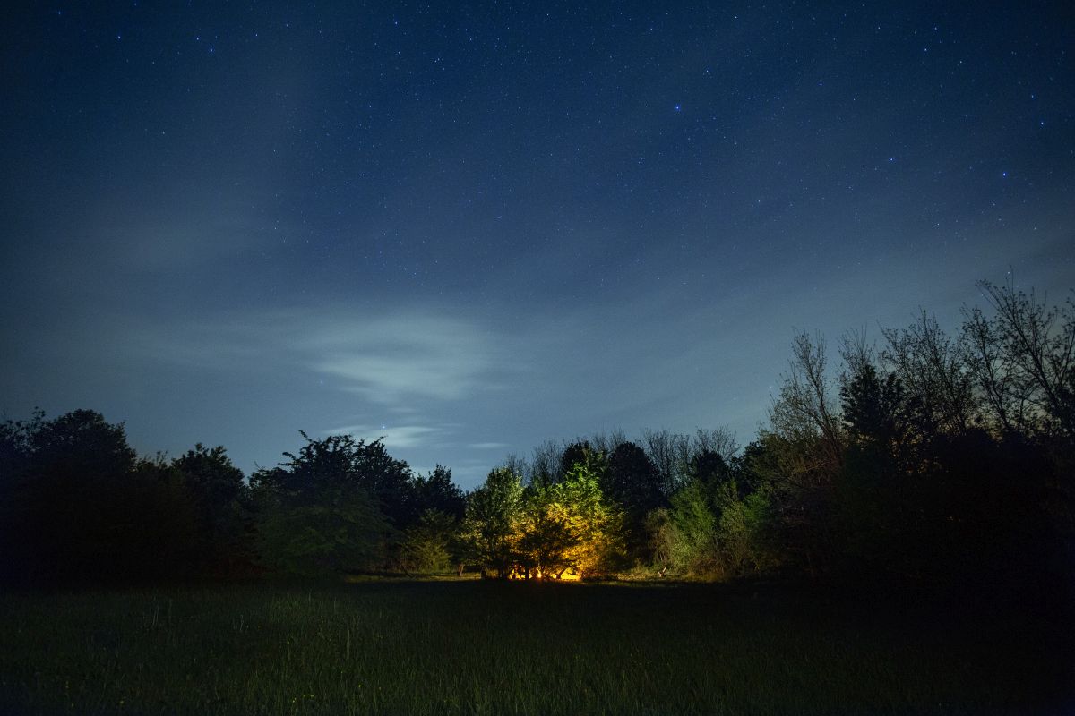Million stars camping