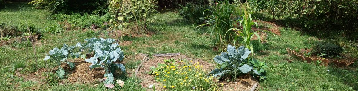 organic garden